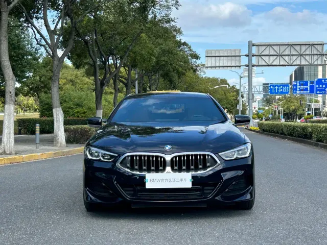 BMW 8 Series — Фото автомобиля 2