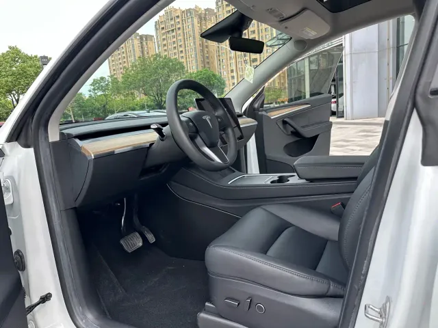 Tesla Model Y — Фото автомобиля 9
