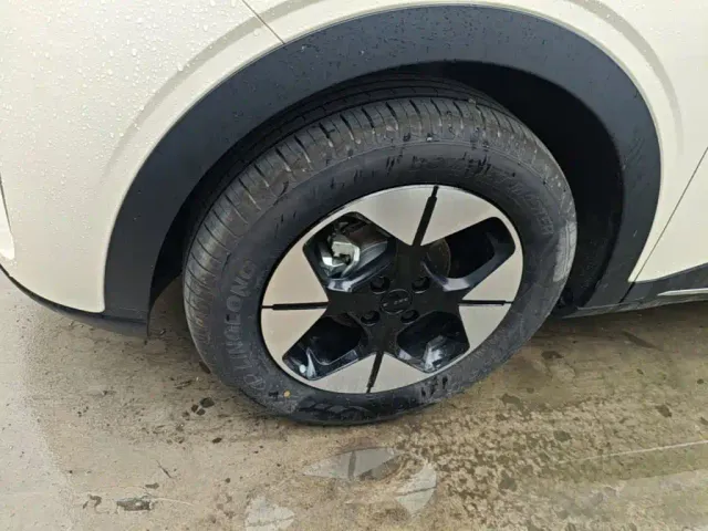 Geely Starry Wish — Фото автомобиля 22