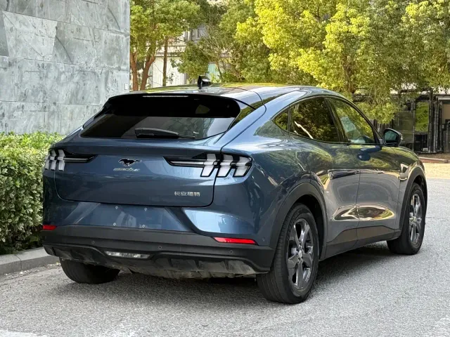 Ford Mustang Mach-E — Фото автомобиля 6