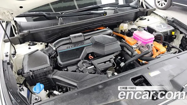Kia Sportage — Фото автомобиля 5