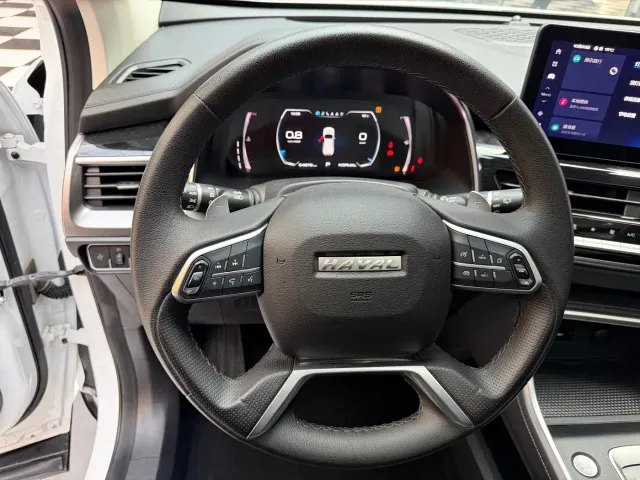 Haval H6 — Фото автомобиля 11