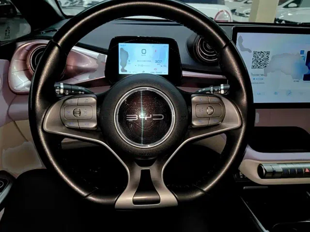 BYD Dolphin — Фото автомобиля 6