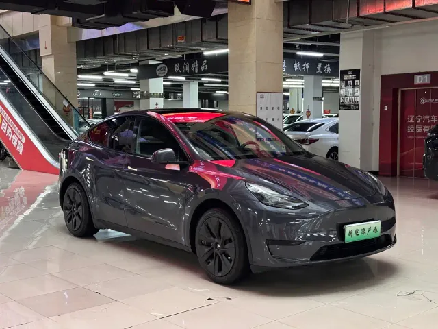 Tesla Model Y — Фото автомобиля 3