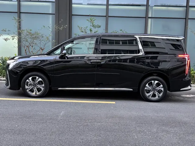 Maxus Dajia 9 — Фото автомобиля 4