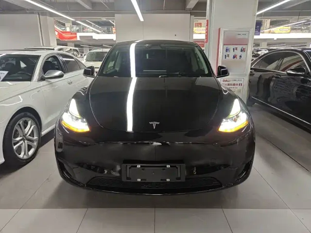 Tesla Model Y — Фото автомобиля 2