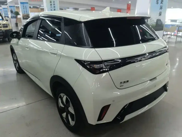 BYD Dolphin — Фото автомобиля 4