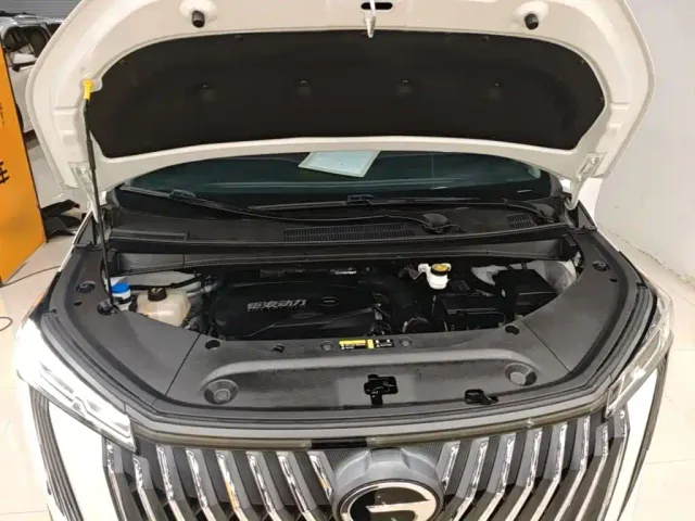 GAC Trumpchi M8 — Фото автомобиля 19