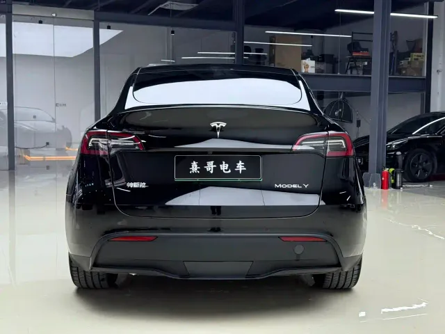 Tesla Model Y — Фото автомобиля 4