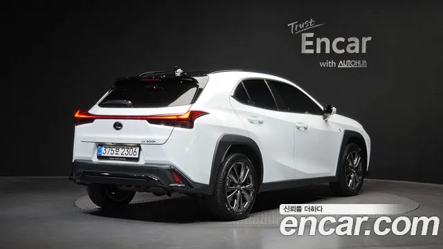 Lexus UX UX300h — Фото автомобиля 2