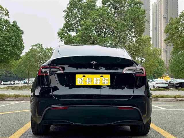 Tesla Model Y — Фото автомобиля 5