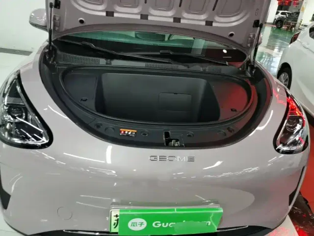 Geely Starry Wish — Фото автомобиля 19