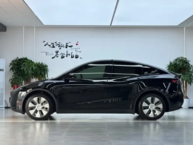 Tesla Model Y — Фото автомобиля 15
