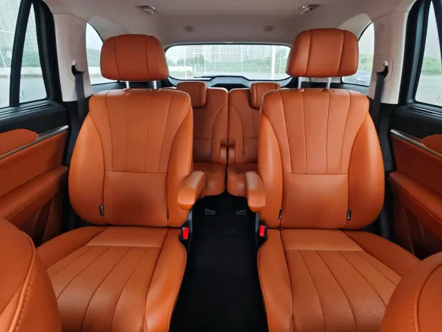 Wey Lanshan — Фото автомобиля 19