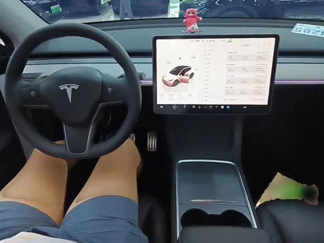 Tesla Model Y — Фото автомобиля 9