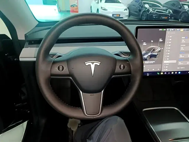 Tesla Model Y — Фото автомобиля 10