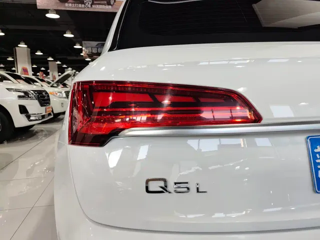 Audi Q5L — Фото автомобиля 19