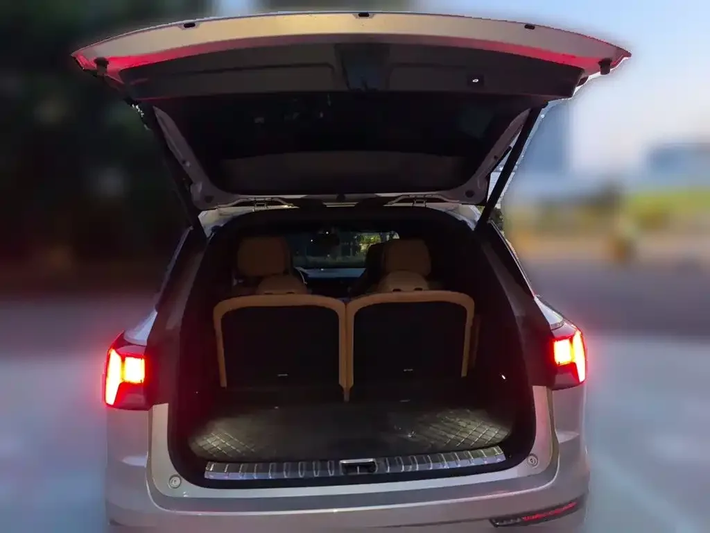 Lynk & Co Lynk & Co 09 EM-P 2021 2.0T PHEV Halo 6-seater — Фото автомобиля 15