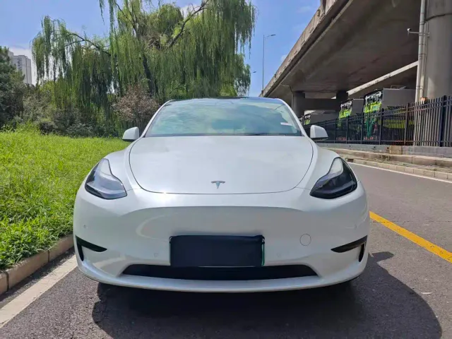 Tesla Model Y — Фото автомобиля 2