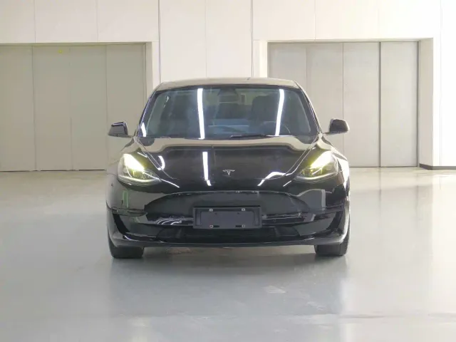 Tesla Model 3 — Фото автомобиля 2