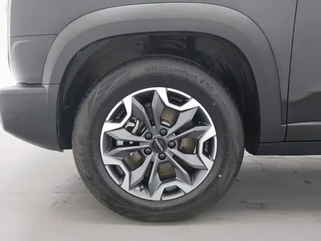 Haval Big Dog — Фото автомобиля 17
