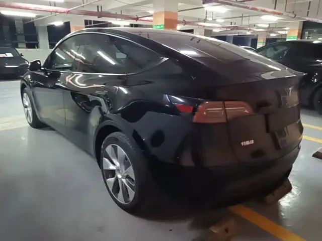 Tesla Model Y — Фото автомобиля 4