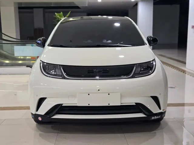 BYD Dolphin — Фото автомобиля 2