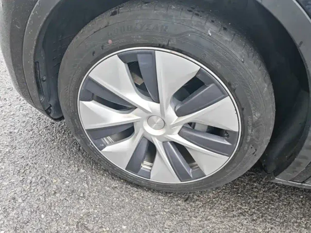 Tesla Model Y — Фото автомобиля 22