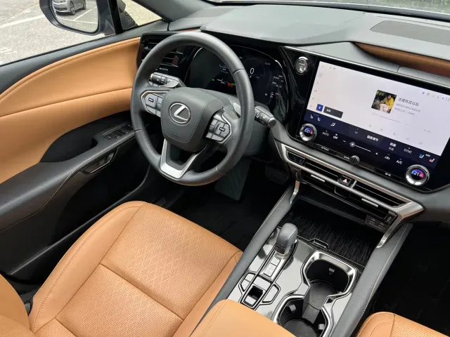 Lexus RX — Фото автомобиля 20