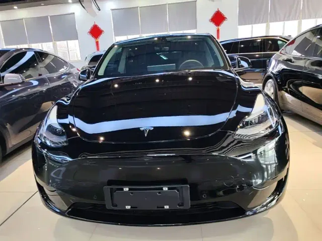Tesla Model Y — Фото автомобиля 2
