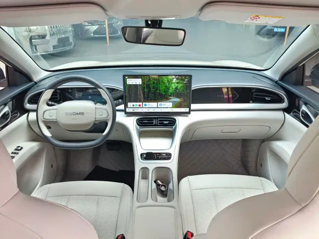 Geely Starry Wish — Фото автомобиля 9