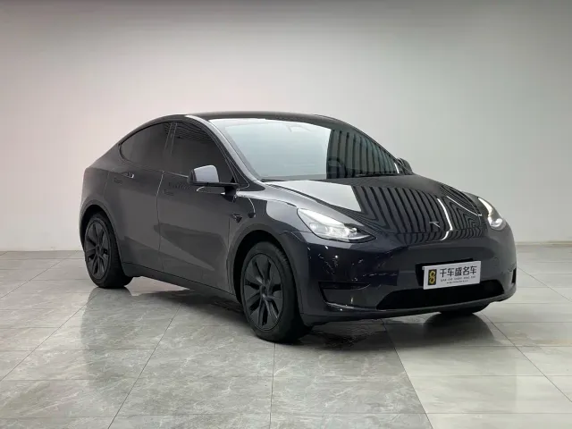 Tesla Model Y — Фото автомобиля 3
