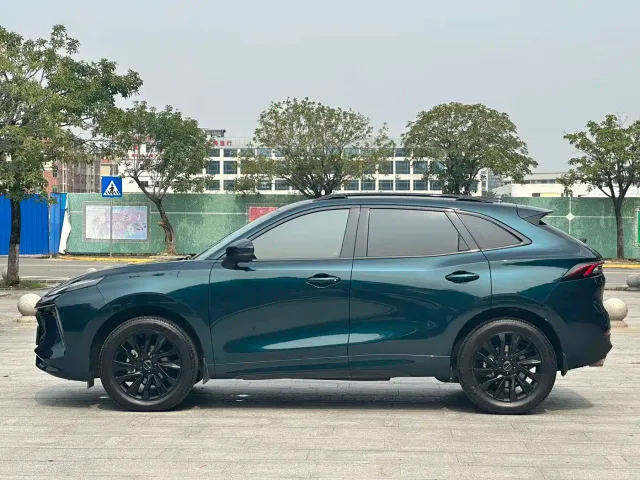 Dongfeng Fengxing Fengxing T5 EVO 2021 1.5TD DCT Starlight Edition — Фото автомобиля 4