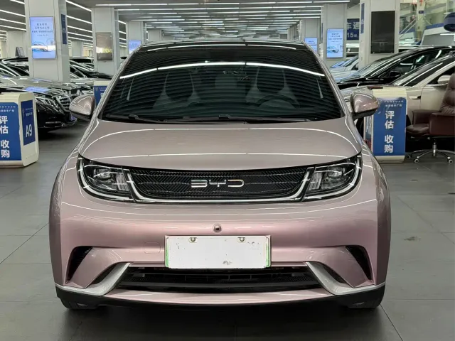BYD Dolphin — Фото автомобиля 2