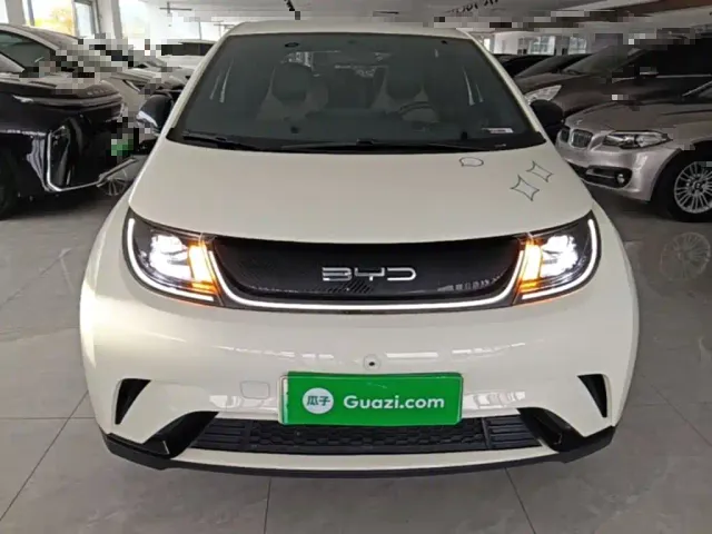 BYD Dolphin — Фото автомобиля 2