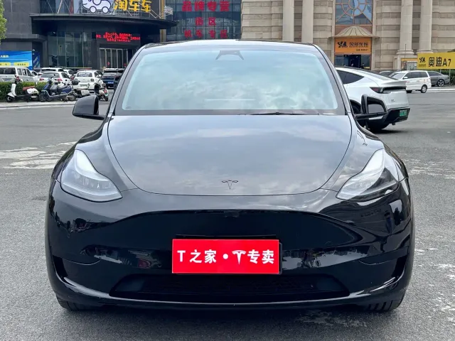 Tesla Model Y — Фото автомобиля 2