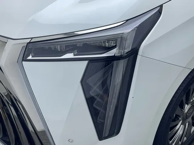 GAC Trumpchi M8 — Фото автомобиля 11