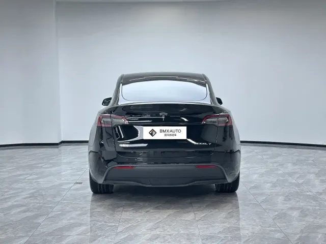 Tesla Model Y — Фото автомобиля 6