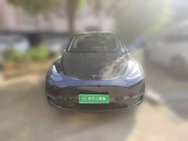 Tesla Model Y — Фото автомобиля 2