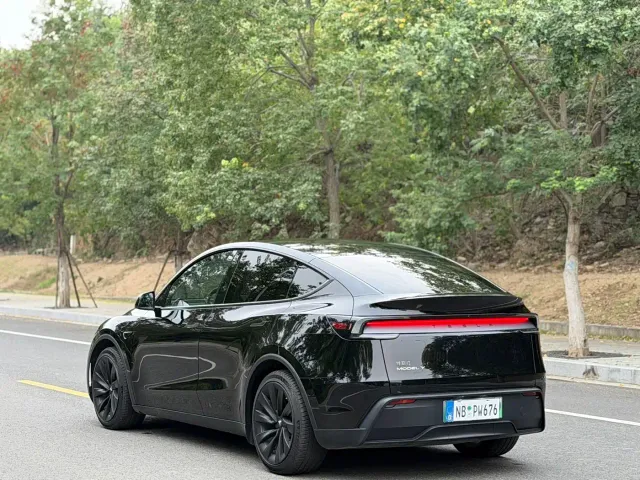 Tesla Model Y — Фото автомобиля 11