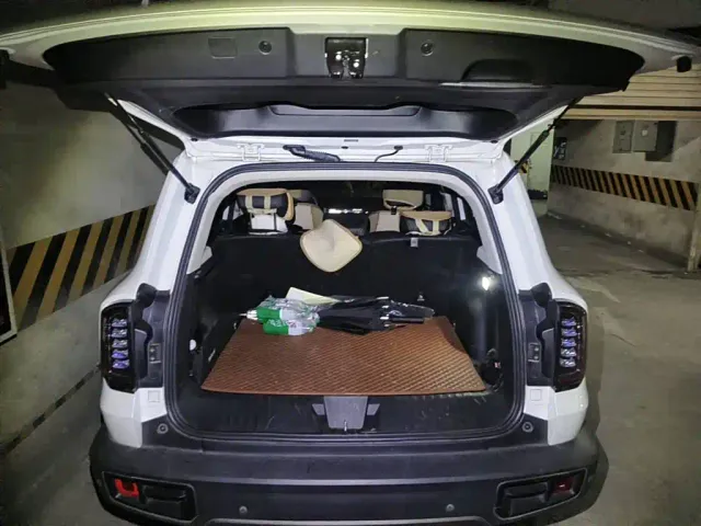 Haval Haval Big Dog 2021 1.5T DCT 2WD Labrador Edition — Фото автомобиля 5