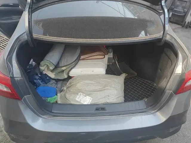 Nissan Sylphy — Фото автомобиля 4