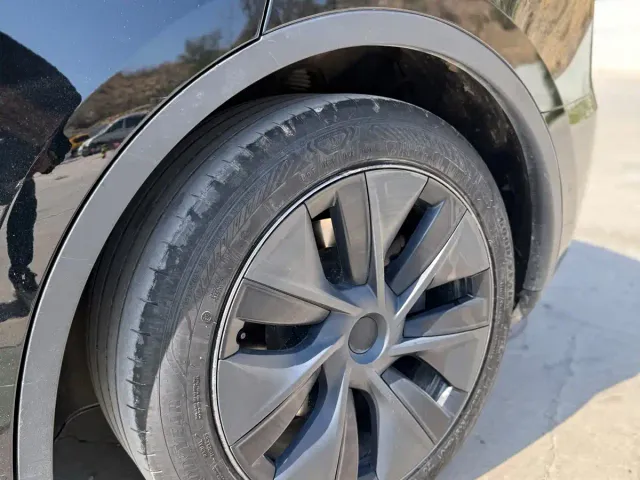 Tesla Model Y — Фото автомобиля 27