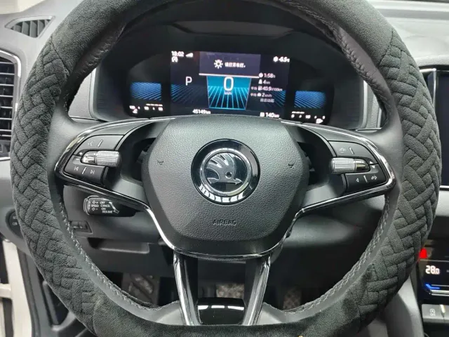 Skoda Karoq — Фото автомобиля 11