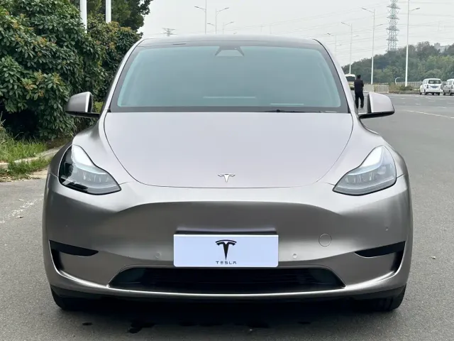 Tesla Model Y — Фото автомобиля 2