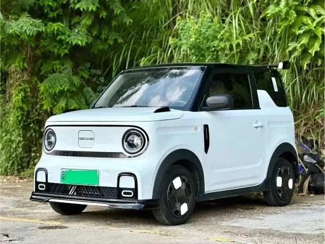 Фотография автомобиля — Geely Panda