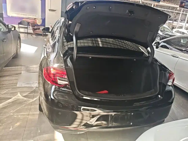Buick Regal — Фото автомобиля 18