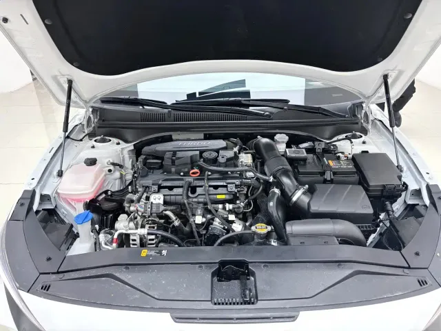 Hyundai Fista — Фото автомобиля 6