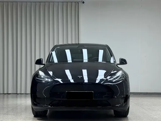 Tesla Model Y — Фото автомобиля 2