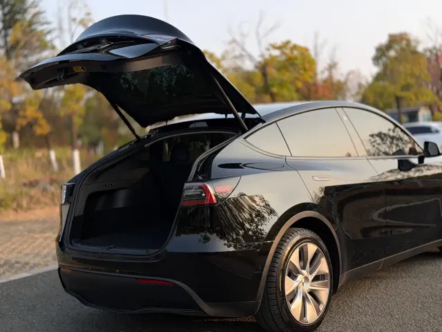 Tesla Model Y — Фото автомобиля 23